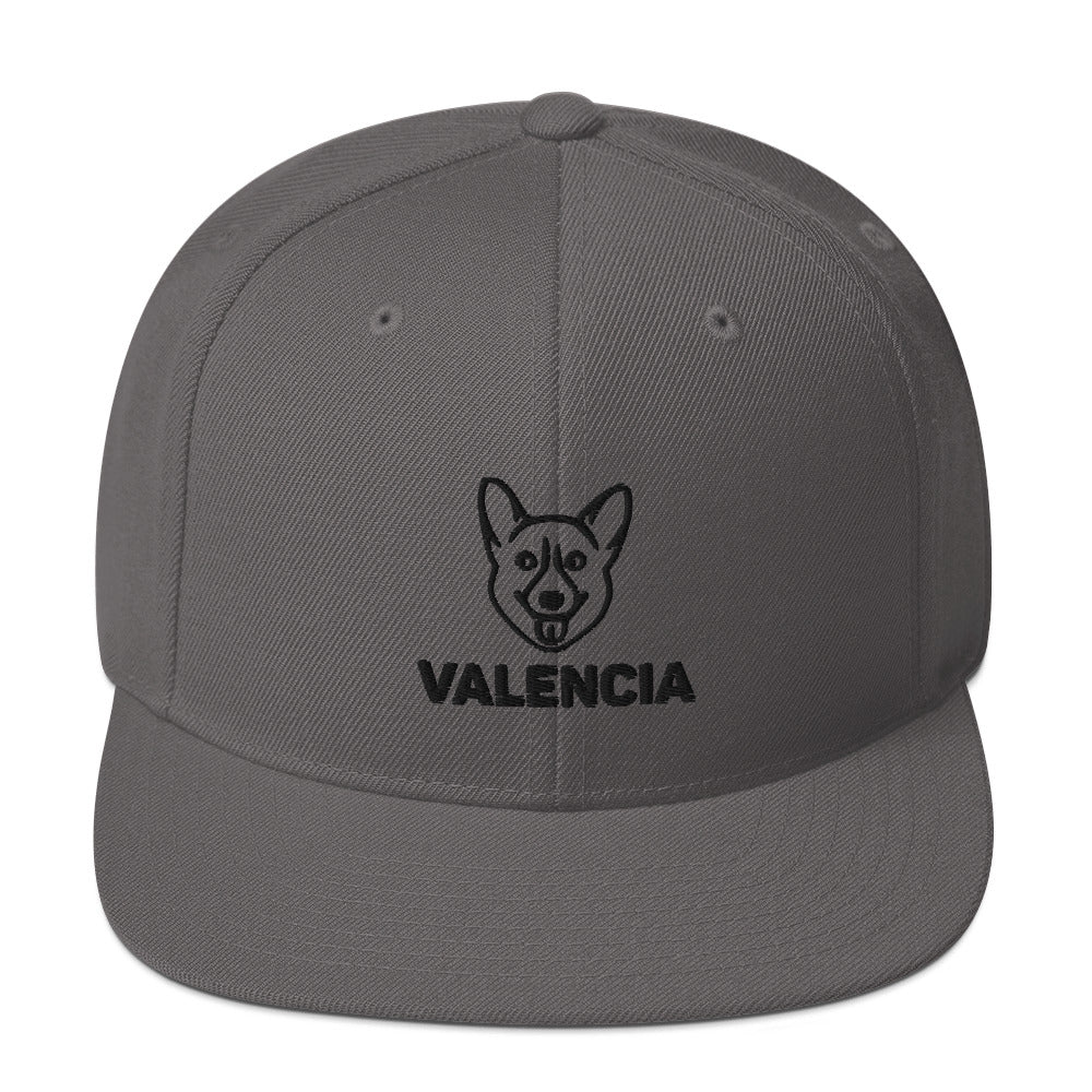 Snapback Hat